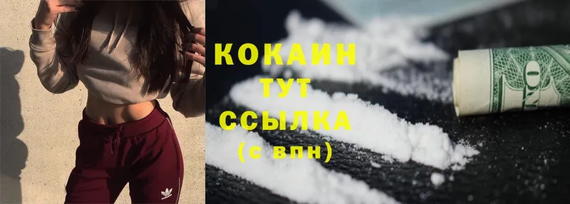 Cocaine Fish Scale Родники